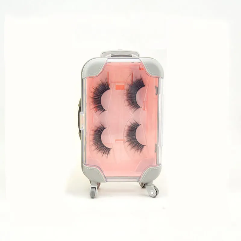 30 Pieces) Wholesale Trolley Case Modeling Eyelash Box Loading Of Two Pairs