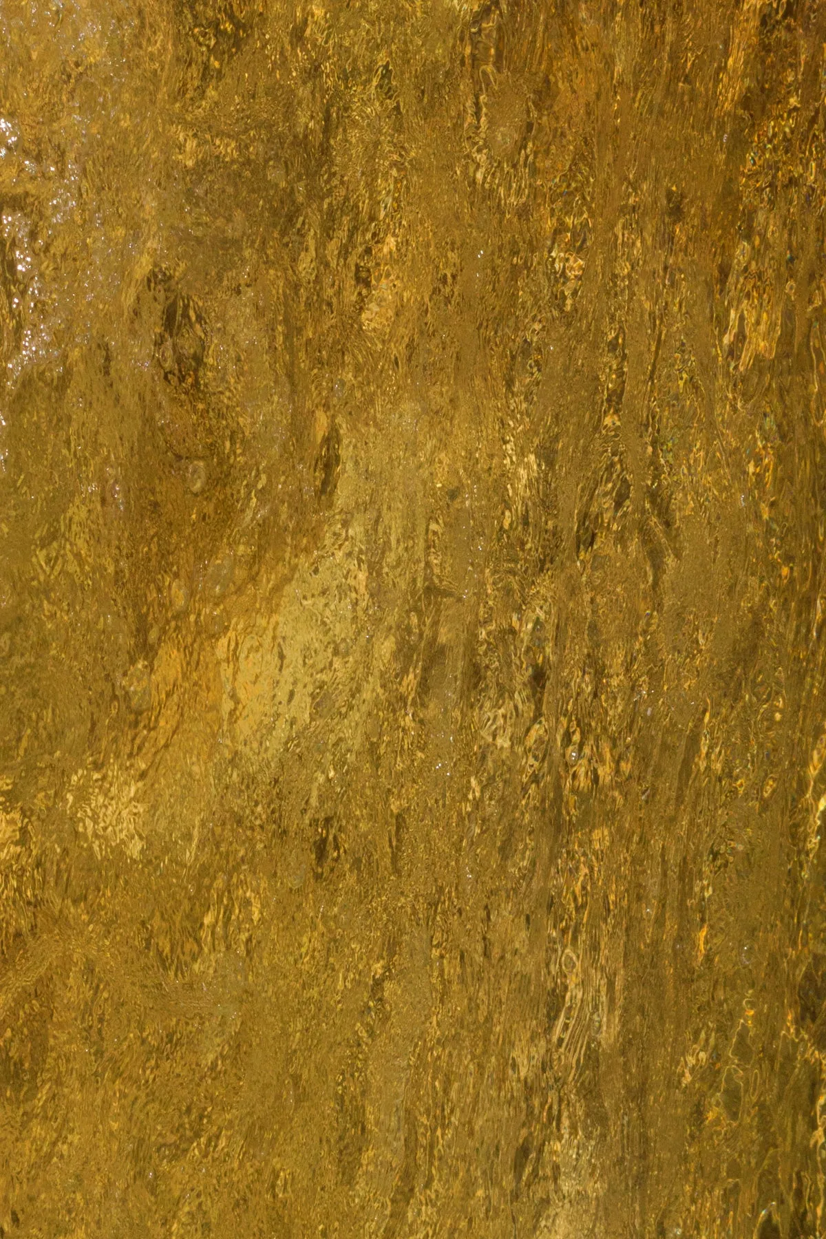 Golden Riverbed Leggings