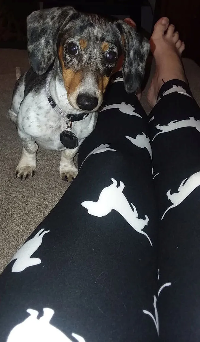 Hot Dog - Dachshund Plus Size Leggings