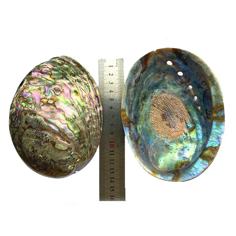 White Sage Stick Set with Abalone Shell