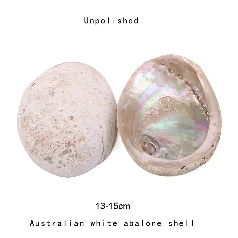 White Sage Stick Set with Abalone Shell