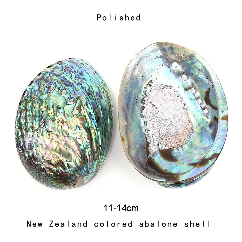 White Sage Stick Set with Abalone Shell